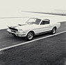 Shelby GT 350 (1965) - der Mustang für die Rennstrecke