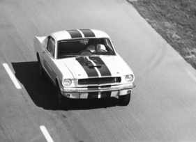 Shelby GT 350 (1965) - rennmässig unterwegs