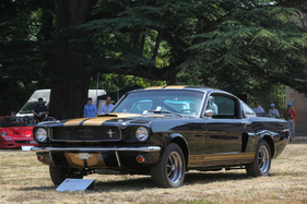 Shelby GT 350 (1966) - Kategorie "America's Sixties 1960-1969" - Concours d'Elégance Suisse Coppet 2022