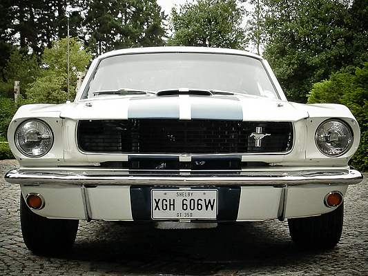 Shelby GT 350 (1966) - angeboten von Silverstone Auctions im Race Retro Classic Car Sale vom 25. Februar 2012