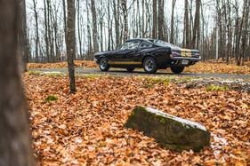 Shelby GT 350-H (1966) – Das schwarz-goldene Farbschema ist heute fast so berühmt wie das weiss-blaue der regulären GT 350