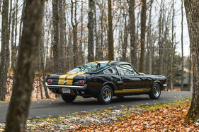 Shelby GT 350-H (1966) – Im Gegensatz zum Mustang ausschliesslich als Fasbtack 2+2 erhältlich