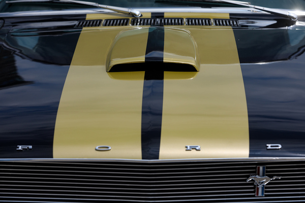 Shelby GT 350-H (1966) - Kühlergrill mit Kotflügel-Emblem und Motorhaube mit Lufthutze - 8. Mustang & Shelby Meeting 2024