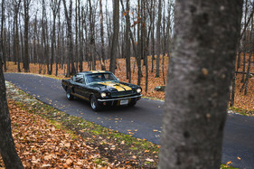 Shelby GT 350-H (1966) – Schwarz war die mit Abstand häufigste Farbe. Es gab aber auch Weiss, Rot, Blau und Grün