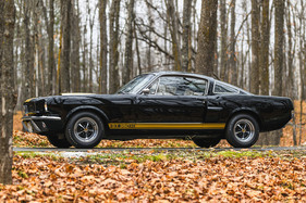 Shelby GT 350-H (1966) – Stilikone: der Shelby-Look mit Streifen und Magnum-500-Rädern wurde und wird häufig kopiert