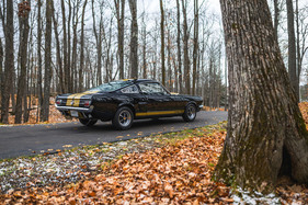 Shelby GT 350-H (1966) – bis August 1966 an über 60 Hertz-Standorten in den USA zu mieten