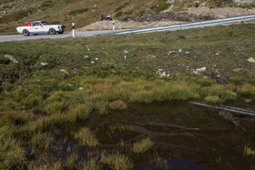 Shelby GT350 (1965) - am Bergrennen Bernina Gran Turismo 2021