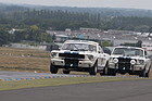 Bild: Shelby Mustang GT 350 (1965) - im Plateau 5 (1966-1971) an der Le Mans Classic 2012