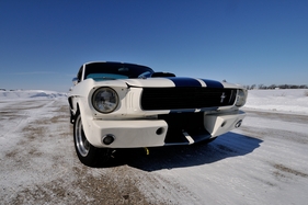 Shelby Mustang GT 350 (1966) - klassisch amerikanische Lackierung Shelby Mustang GT 350 (1966) - klassisch amerikanische Lackierung