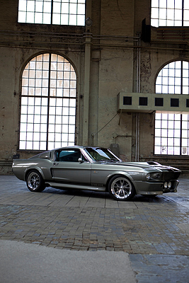 Shelby Mustang GT 500 (1967) - die Kraft ist bei dieser schweizerischen Eleanor gut sichtbar