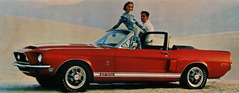 Shelby Mustang GT 500 (1968) - wenn es heiss ist, hilft ein Cabrio