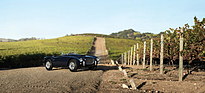 Siata 208S Spider (1954) - als Lot 227 angeboten an der RM/Sotheby's Versteigerung "Driven by Disruption" in New York am 10. Dezember 2015