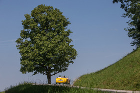 Siata Daina (1951) - Epoche 3 - Ennstal-Classic 2018