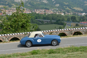 Simca Facel Farina (1950) - am Bergrennen Vernasca Silver Flag 2014