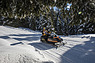Ski doo Citation SS (1983) beim Alpenknattern 2018 (© Daniel Reinhard, 2018)