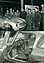 Škoda 1100 OHC Coupé (1960) – Jaroslav Kindls Entwurf wurde zunächst aus Holz realisiert. Es fanden auch Serienteile wie das Lenkrad aus dem Popular Verwendung. (© Škoda-Media, 1960)