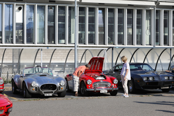 Sobald eine Motorhaube offen ist, wird auch reingeguckt, wie bei diesem Austin-Healey 3000 - Lägern Classic 2024