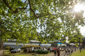 Bild Sonderschau mit Werken von Marcello Ganini – Concorso d'Eleganza Villa d'Este 2024