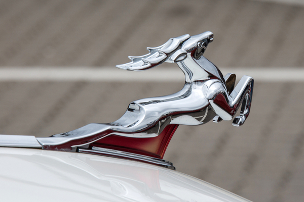 Springender Hirsch – Retro Saisonauftakt 2025