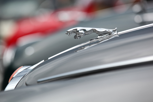 Sprungbereit, dieser Jaguar (Kühlerfigur) - British Car Meeting Mollis 2017