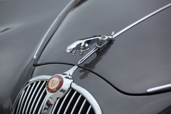 Sprungbereit über dem Kühlergrill, der Jaguar - Dolder Classics Mai 2018