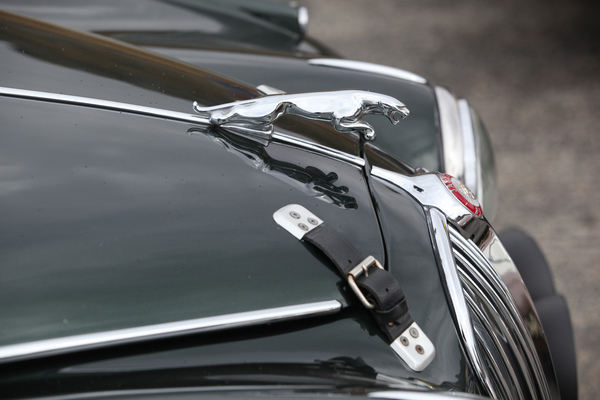 Sprungbereit wartet die Raubkatze auf den Start - Bergrennen Bernina Gran Turismo 2017