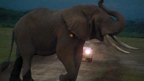 Standbild aus dem Film "Die Evolution des Driftwinkels Vol. 2" von Helmut Deimel