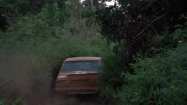 Standbild aus dem Film "Die Evolution des Driftwinkels Vol. 2" von Helmut Deimel