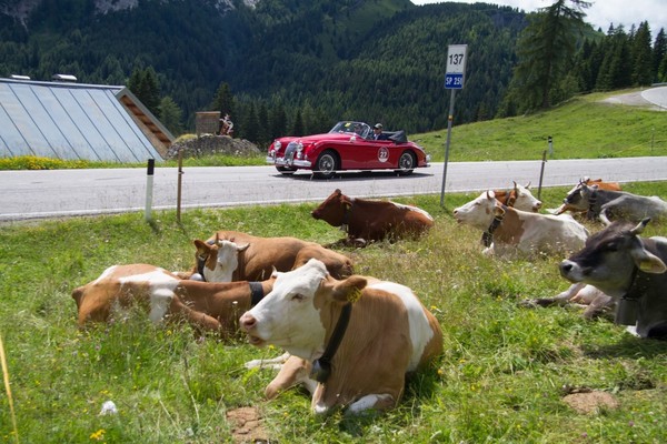 Stella Alpina Storica 2018 - Impressionen Tag 2