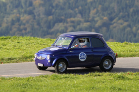 Steyr-Puch 500 (1971) am Michaelskreuzrennen 2011 (Startnummer 295) (1971)