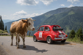 Steyr-Puch 650 T (1962) - mit Startnummer 119 an der Ennstal-Classic 2017 (1962)