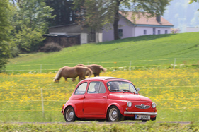 Steyr-Puch 650T (1963) - 12. Internationales Microcar Treffen Wohlen 2022