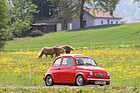 Steyr-Puch 650T (1963) - 12. Internationales Microcar Treffen Wohlen 2022