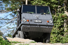 Steyr-Puch Haflinger 706 (703 AP, 1973) - in freier Natur