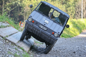 Steyr-Puch Haflinger 706 (703 AP, 1973) - knapp vor der Kippgrenze (20140917)