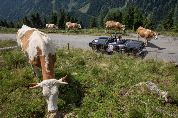 Stilvoller Auftritt des Technischen Dienstes - Ennstal-Classic 2017
