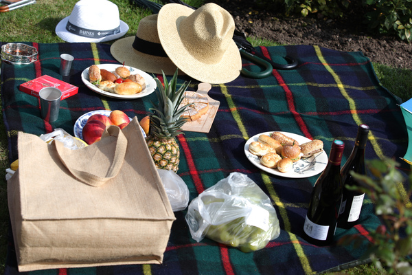 Stilvolles Picknick zum Rolls-Royce - Eindrücke vom Swiss Classic British Car Meeting Morges am 4. Oktober 2014