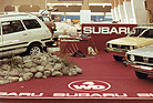 Subaru 1600 4WD (1979) - am Genfer Autosalon im Jahr 1979
