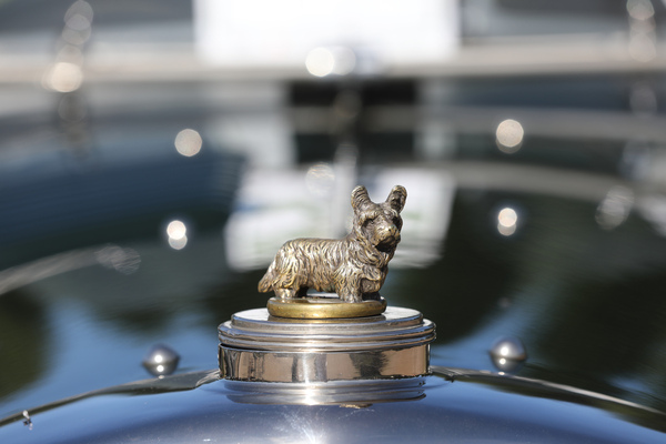 Sunbeam 30 HP (1927) - ein Hund als Kühlerfigur - 19. ASC Classic-Gala Schwetzingen 2023