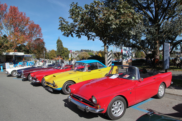 Sunbeam Tiger farbenfroh vereinigt, mit dem Achtzylinder wurde aus dem Sunbeam Alpine ein richtiger Tiger - Swiss Classic British Car Meeting Morges 2017