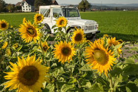 Suzuki LJ 80 (1981) - nur rund 3,2 Meter lang