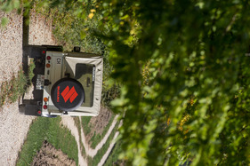 Suzuki LJ 80 (1981) - (1981)