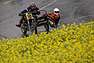 Suzuki Wasp (1979) - GP Mutschellen 2016 (© Daniel Reinhard, 2016) Suzuki Wasp (1979) - GP Mutschellen 2016 (© Daniel Reinhard, 2016)