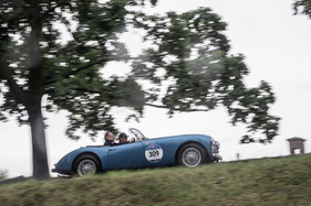 Swallow Doretti (1954) - an der Mille Miglia 2016