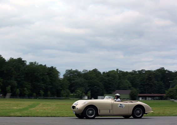 Swallow Doretti Shapecraft (1954) - am GP Brugger Schachen 2013