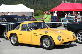 TVR Grantura (1960) - in Gelb - BCM Mollis 2019