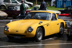 TVR Grantura (1960) - rarely found in our latitudes