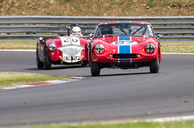 TVR Grantura (1965) - Brands Hatch Masters Historic Festival 2019 - Equipe GTS (1965)