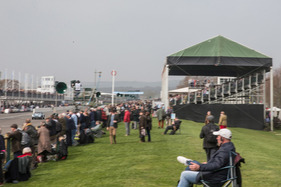 TVR Griffith 400 (1964) - Graham Hill Trophy Goowood Members' Meeting 2019 (1964)
