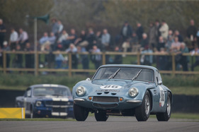 TVR Griffith 400 (1964) - Graham Hill Trophy Goowood Members' Meeting 2019 (1964)